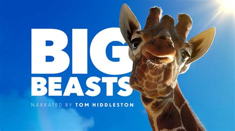megashare big beasts|Big Beasts — Official Trailer Apple TV+ .